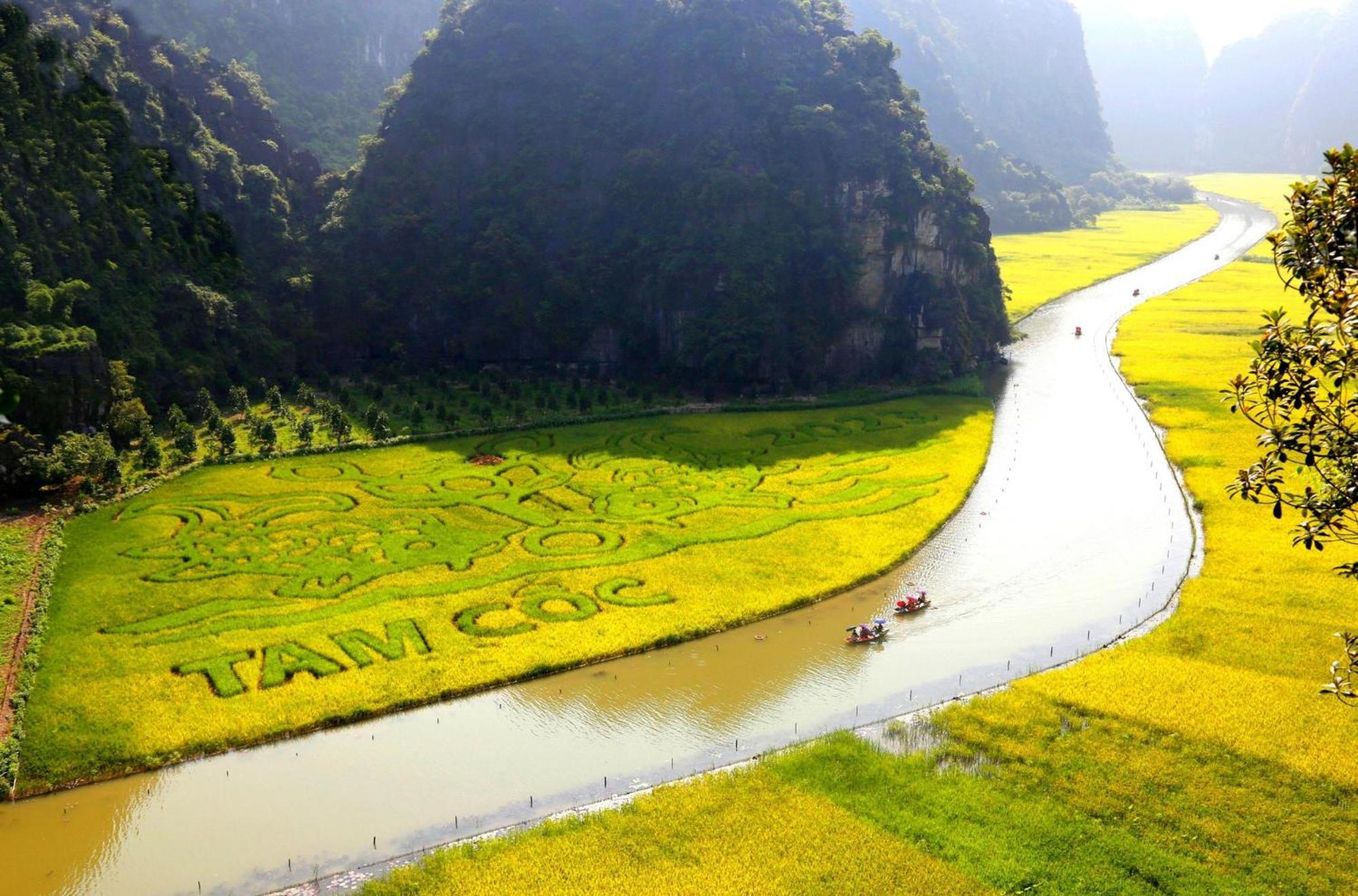Truong Son Luxury Homestay Ninh Binh Zewnętrze zdjęcie
